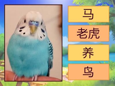 Легкий китайский 11 урок 