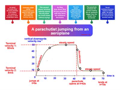 Terminal Velocity Graph