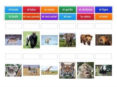 Beginner 3- Los animales