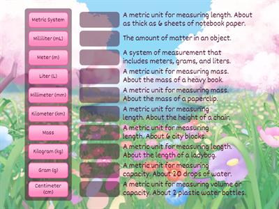 Chapter 12: Metric Measurement Vocabulary