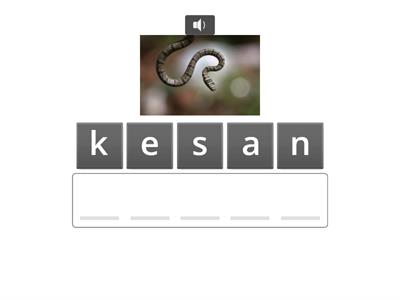 Lớp 4: smart start - Unit 1- animals