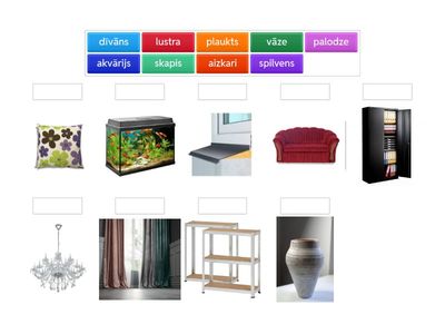 Learn the vocabulary !
