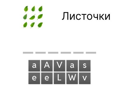 Magic Box 3. Pets. Les 1