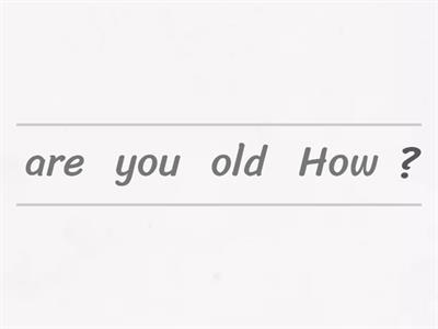 Put the words in the correct order to make questions.