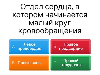 Круги кровообращения