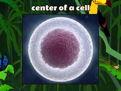 Barton 8.13 Split Vowels