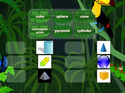 4th grade Math shapes