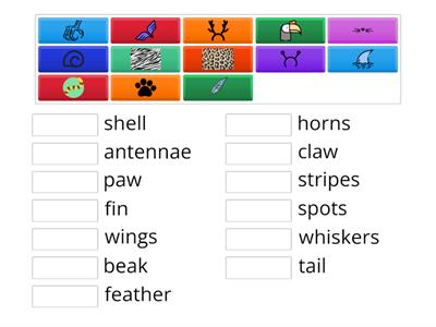 Animals' body parts (Pop 3 - unit 3)