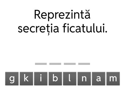 Digestia - fișă pentru elevii cu cerințe educaționale speciale