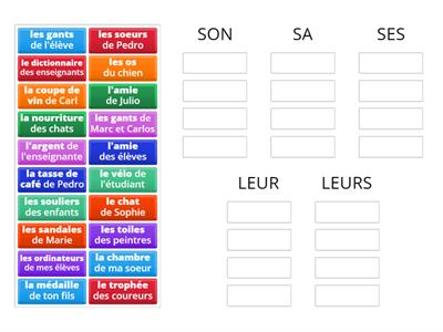 Quel déterminant possessif?