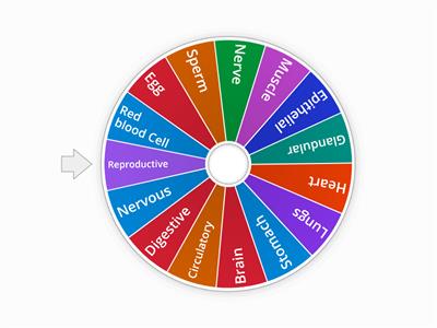 Levels Of organisation