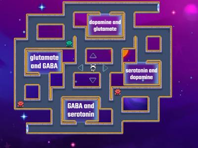 Nervous system revision U3 AoS1