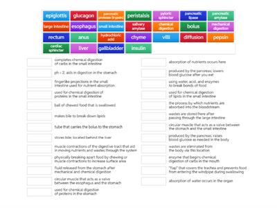 Digestive System Process (Review)