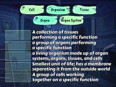 Multicellular Levels of Organization