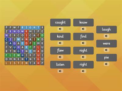 Unit 4 Week 4 Wordsearch