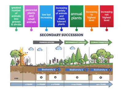 Secondary Succession Diagram Labeling