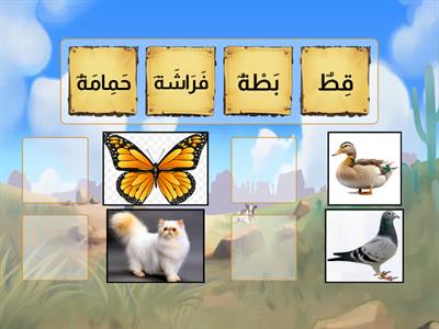 Year 2 Arabic Ch. 8