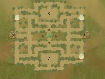 Групи С та Л