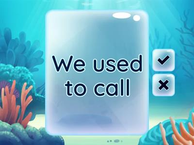 Spanish Technology Imperfect Conjugations