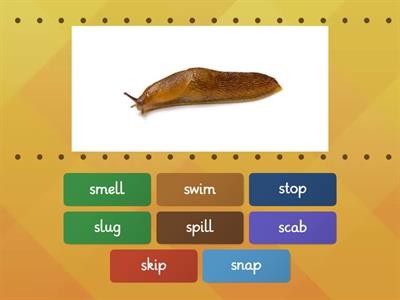 1-7 OG SDS Lesson - Beginning (Initial) S Blends (2 Letters Only) Reading Sort