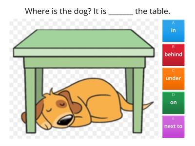 Prepositions (in-on-under-next to-behind)