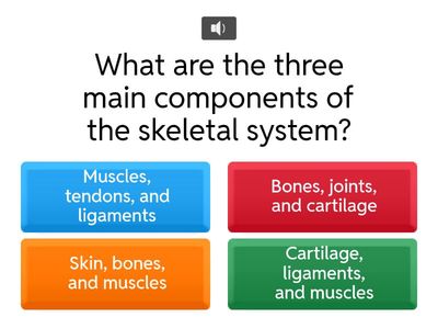 T4.4 The Musculoskeletal System
