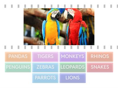 UNIT 5: LET'S SAVE OUR ANIMALS