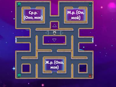  Род существительных: ОН, ОНА