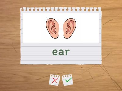 Global English 1 - Unit 3.1 - Vocavulary(body parts)