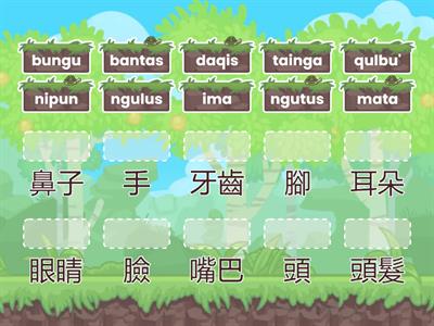 7學習詞表-身體部位-初級丹群布農