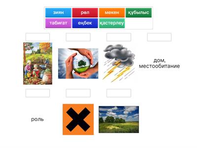 Екі ресейлік ару ер адамның мүшесін жұлып алады