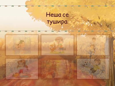 Разумевање прочитаног након Ш