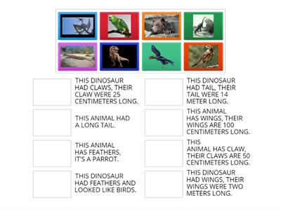 DINOSAURS / ANIMALS (K4)