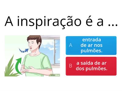 Sistema respiratório I