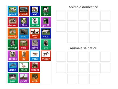 Animale domestice și animale sălbatice