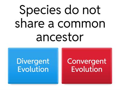 Comparing Divergent and Convergent Evolution