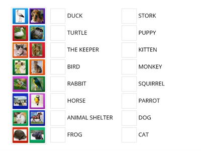 Animal Shelter Words