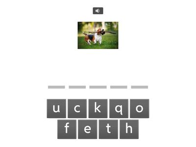 Mercy Spelling Words - Spell