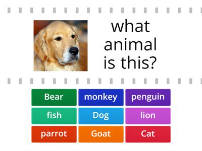 Animals esl