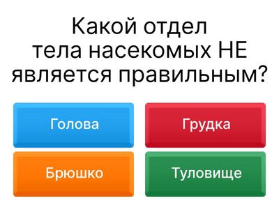 Ответье на вопросы мини-викторины
