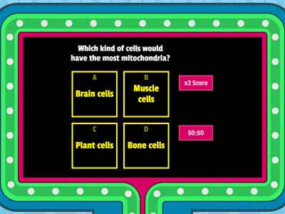 Chapter 7: Aerobic Respiration