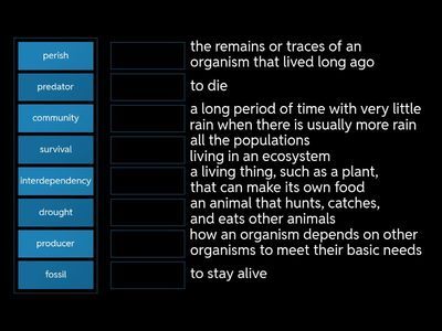 Patterns and Cycles in Environments 3.12 Vocabulary