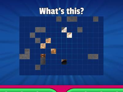 Beehive 1 unit 4 lake plant flower shell