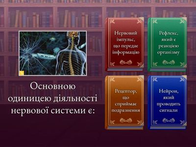 Рефлекторний принцип діяльності нервової системи. Рефлекси безумовні та умовні