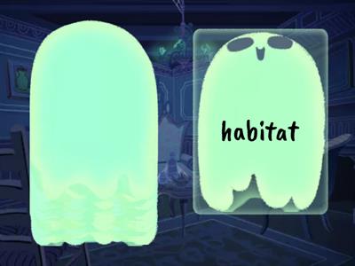 Palabras 3er grado spelling bee