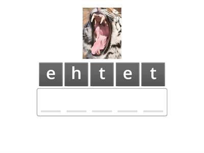 Części ciała zwierząt Tiger and friends 3