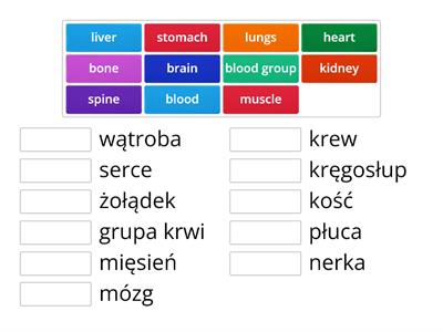 2 Narządy wewnętrzne (Zdrowie rep. 8 klasa)