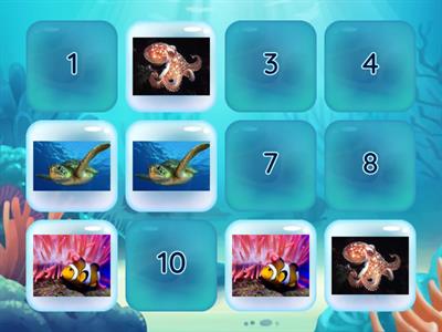  Морські мешканці