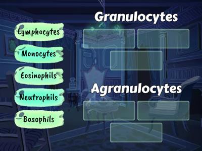 Medical Assisting 2: Granulocytes vs Agranulocytes