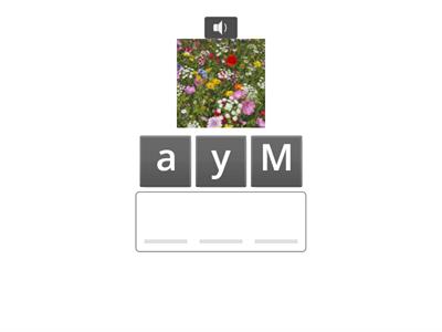 Months of the Year (ESL)